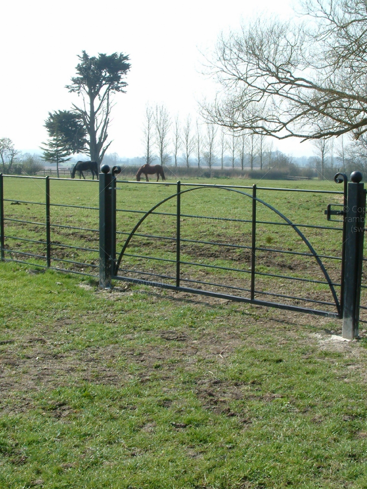 Estate fencing, Somerset